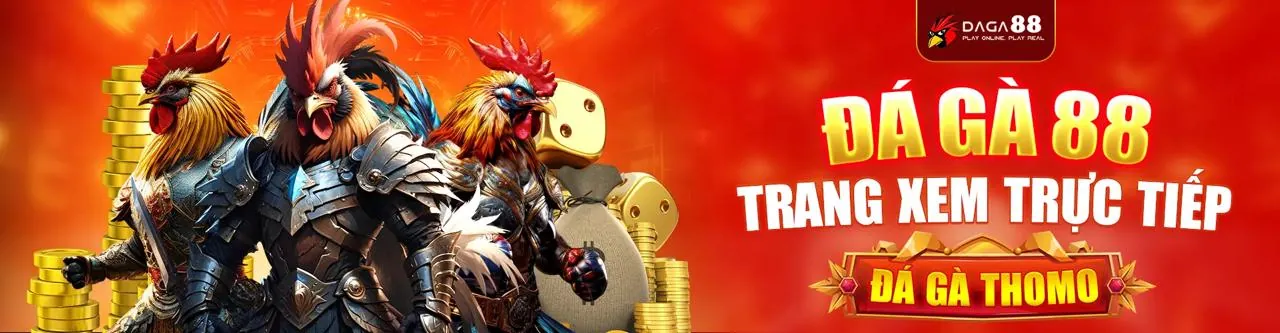 Đội ngũ hỗ trợ khách hàng 56win